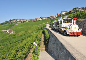 LAVAUX_PANORAMIC_11_TRAIN